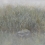 過境：阡陌小徑上的一片雲彩 - 王曉萱個展